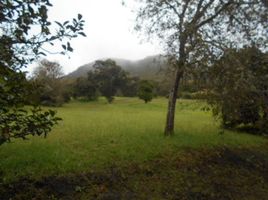  Terreno (Parcela) en venta en Sopo, Cundinamarca, Sopo