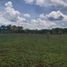 Studio House for sale in Tizimin, Yucatan, Tizimin
