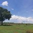 Studio House for sale in Tizimin, Yucatan, Tizimin