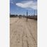  Land for rent in Torreon, Coahuila, Torreon, Coahuila