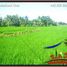  Land for sale in Ubud, Gianyar, Ubud