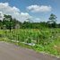  Land for sale in Yogyakarta, Seyegan, Sleman, Yogyakarta