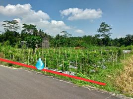  Land for sale in Yogyakarta, Seyegan, Sleman, Yogyakarta