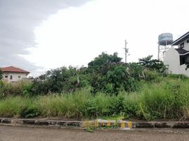  Land for sale in Talisay City, Cebu, Talisay City