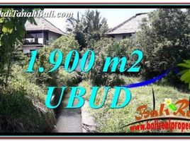  Land for sale in Ubud, Gianyar, Ubud