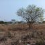  Terreno (Parcela) en venta en Merida, Yucatán, Merida