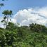  Land for sale in Tolima, Melgar, Tolima