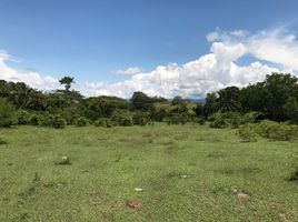  Terreno (Parcela) en venta en Tolima, Melgar, Tolima