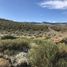  Land for sale in Neuquen, Huiliches, Neuquen