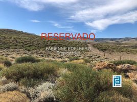  Land for sale in Neuquen, Huiliches, Neuquen