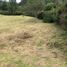  Terreno (Parcela) en venta en Medellín, Antioquia, Medellín, Antioquia
