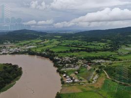  Terreno (Parcela) en venta en Daule, Guayas, Los Lojas (Enrique Baquerizo Moreno), Daule