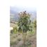  Land for sale in Chipaque Cundinamarca, Chipaque