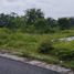  Terreno (Parcela) en venta en Mlati, Yogyakarta, Mlati, Sleman, Yogyakarta