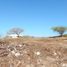  Terreno (Parcela) en venta en Puerto Colombia, Atlantico, Puerto Colombia