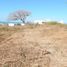  Terreno (Parcela) en venta en Puerto Colombia, Atlantico, Puerto Colombia