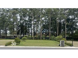  Terreno (Parcela) en venta en Rionegro, Antioquia, Rionegro, Antioquia