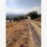  Land for sale in Amacuzac, Morelos, Amacuzac