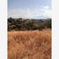  Land for sale in Amacuzac, Morelos, Amacuzac