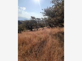  Land for sale in Amacuzac, Morelos, Amacuzac