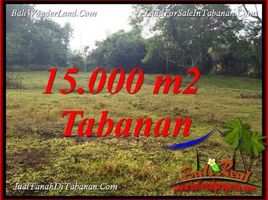  Land for sale in Tabanan, Bali, Tabanan, Tabanan