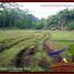  Land for sale in Tabanan, Bali, Tabanan, Tabanan