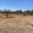  Land for sale in Tochimilco, Puebla, Tochimilco