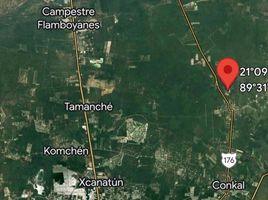  Terreno (Parcela) en venta en Ixil, Yucatán, Ixil