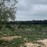  Terreno (Parcela) en venta en Ixil, Yucatán, Ixil