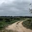  Terreno (Parcela) en venta en Ixil, Yucatán, Ixil