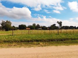  Land for sale in Calamuchita, Cordoba, Calamuchita