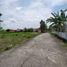  Land for sale in Yogyakarta, Kalasan, Sleman, Yogyakarta