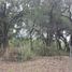  Land for sale in Santiago, Nuevo Leon, Santiago, Nuevo Leon