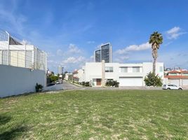  Terreno (Parcela) en venta en San Jeronimo Tecuanipan, Puebla, San Jeronimo Tecuanipan
