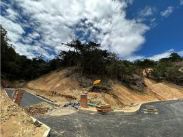  Terreno (Parcela) en venta en La Ceja, Antioquia, La Ceja