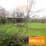  Land for sale in Chillan, Nuble, Chillan