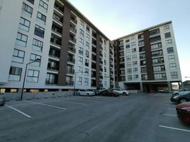 2 Bedroom Condo for rent in Guadalajara, Jalisco, Guadalajara, Jalisco