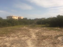  Land for sale in Lazaro Cardenas, Quintana Roo, Lazaro Cardenas