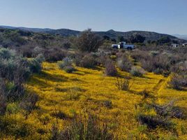  Terrain for sale in Tecate, Baja California, Tecate