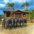 3 Bedroom Villa for sale in Obando, Valle Del Cauca, Obando