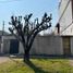 Condominium 2 chambre à vendre à Avellaneda, Buenos Aires, Avellaneda