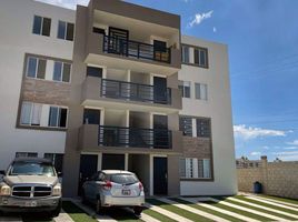 Condominium 2 chambre à louer à Tijuana, Baja California, Tijuana, Baja California