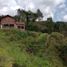  Grundstück zu verkaufen in Guarne, Antioquia, Guarne, Antioquia