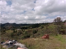  Grundstück zu verkaufen in Guarne, Antioquia, Guarne, Antioquia