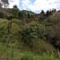  Grundstück zu verkaufen in Guarne, Antioquia, Guarne, Antioquia