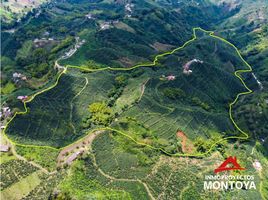 Estudio Casa en venta en Colombia, Santa Rosa De Cabal, Risaralda, Colombia