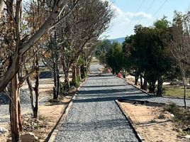 在墨西哥出售的 土地, Allende, Guanajuato, 墨西哥