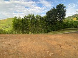  Land for sale in Pereira, Risaralda, Pereira