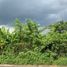  Terrain for sale in Godeyan, Sleman, Godeyan