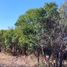  Land for sale in Colon, Cordoba, Colon